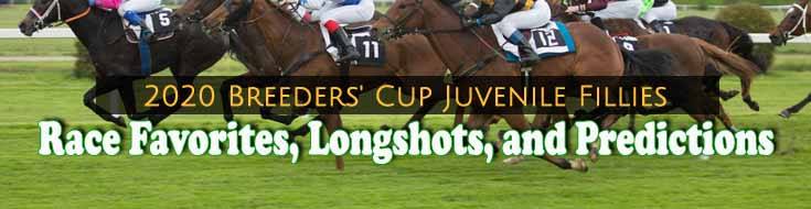 Breeders Cup Predictions 2016